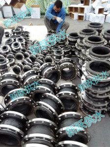 新（xīn）躍橡膠接頭發往永（yǒng）嘉甌北